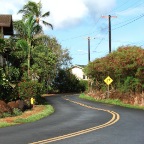 Hawaiian Road.JPG